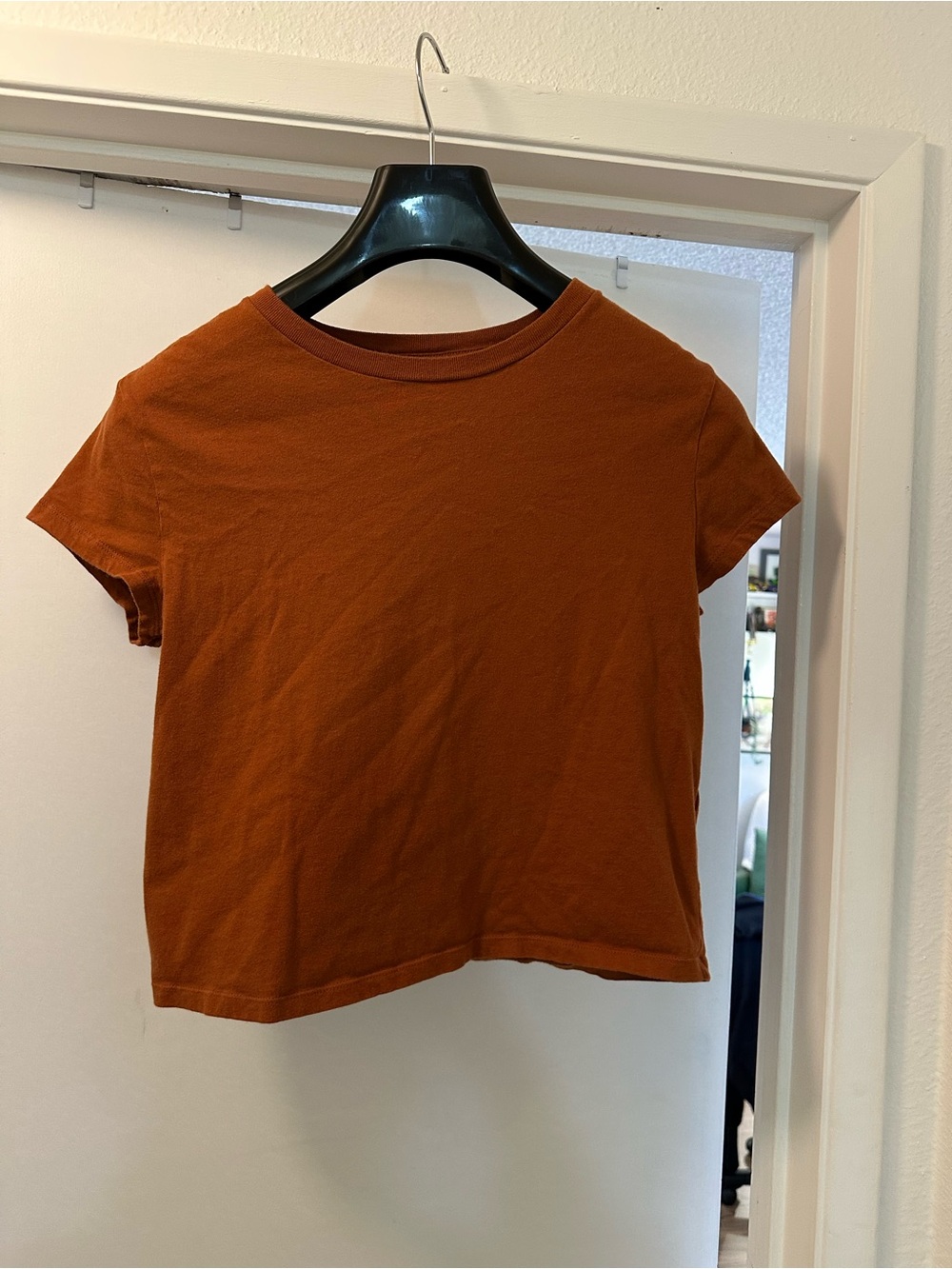 Women's Rust Short Sleeve Crop Tee